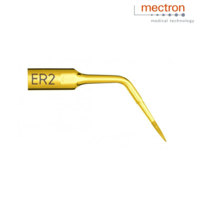 Insert Endo Revision ER2