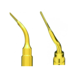 Insert Extraction EX2