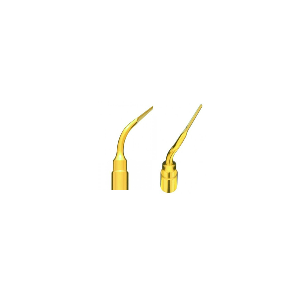 Insert Extraction EX3